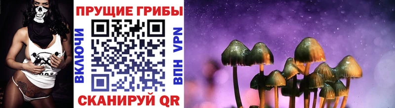 Галлюциногенные грибы Magic Shrooms  Новая Усмань 